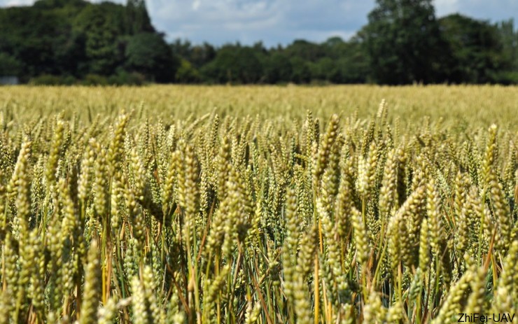 宇辰網_讓世界讀懂無人機_全球專業無人機服務資訊平臺 河北智飛極農無人機科技|一鳶科技|行業定制無人機