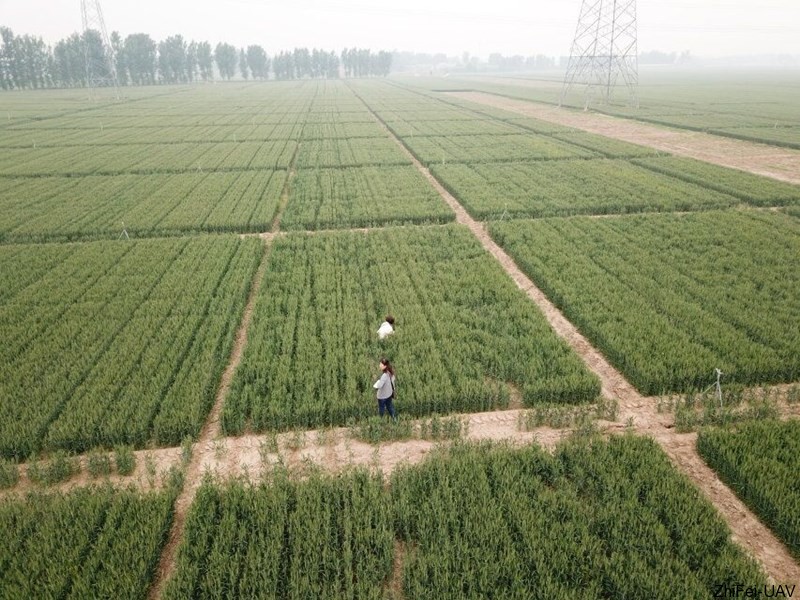 河北智飛極農(nóng)無(wú)人機(jī)科技|一鳶科技|行業(yè)定制無(wú)人機(jī)