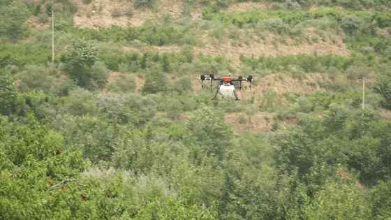 河北智飛極農無人機科技|一鳶科技|行業定制無人機 圖片