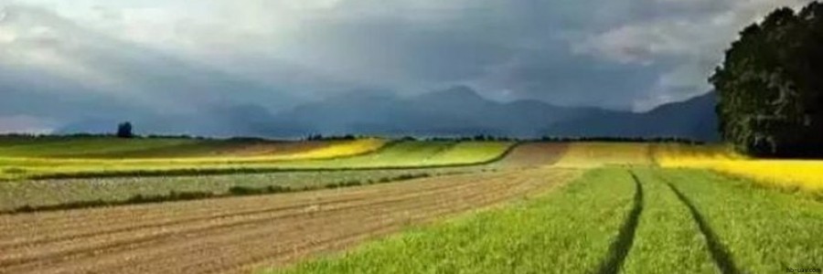 2017年農(nóng)業(yè)補(bǔ)貼申請(qǐng)已經(jīng)開始，這30個(gè)項(xiàng)目都可以拿到國家補(bǔ)貼